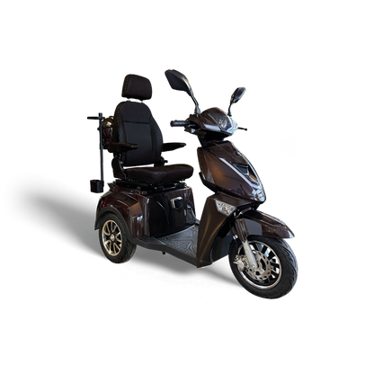 Scooter ES3